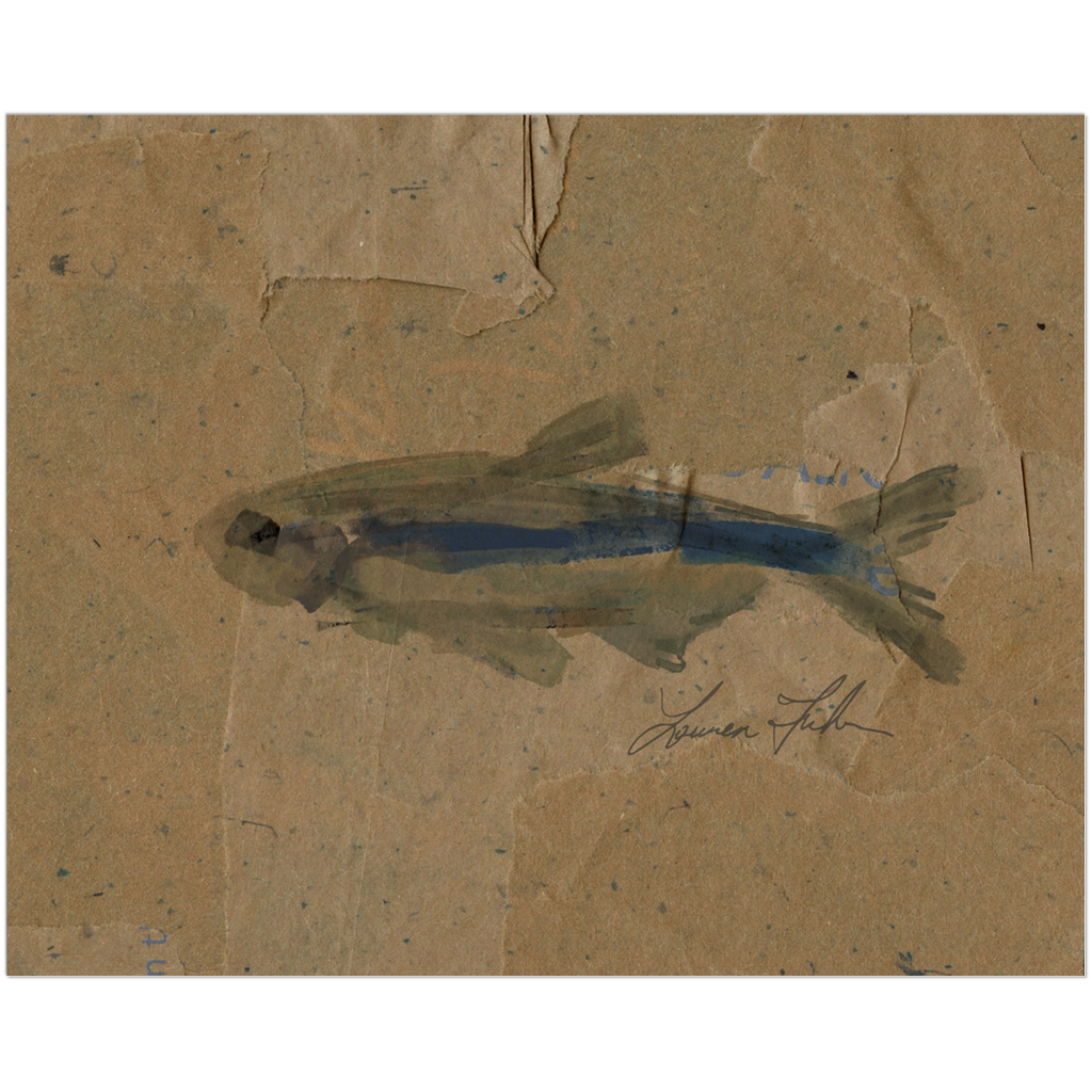 Places: South Carolina Fine Art Print