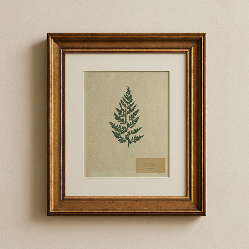 Botanic I Paper Print