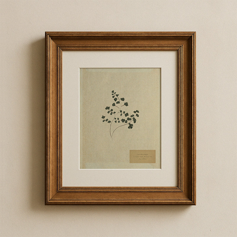 Botanic II Paper Print