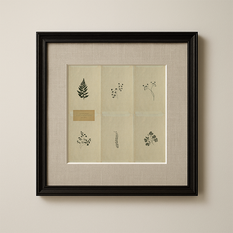 Botanic VI Paper Print